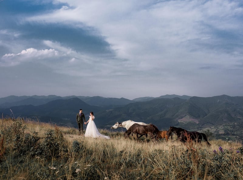 Celestial Wedding Gown